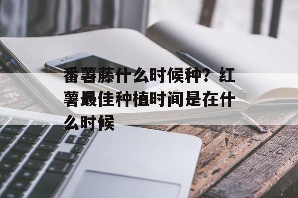 番薯藤什么时候种？红薯最佳种植时间是在什么时候-第1张图片-