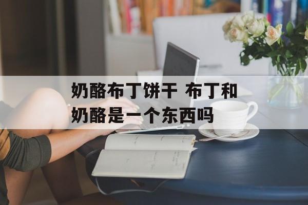 奶酪布丁饼干 布丁和奶酪是一个东西吗-第1张图片-