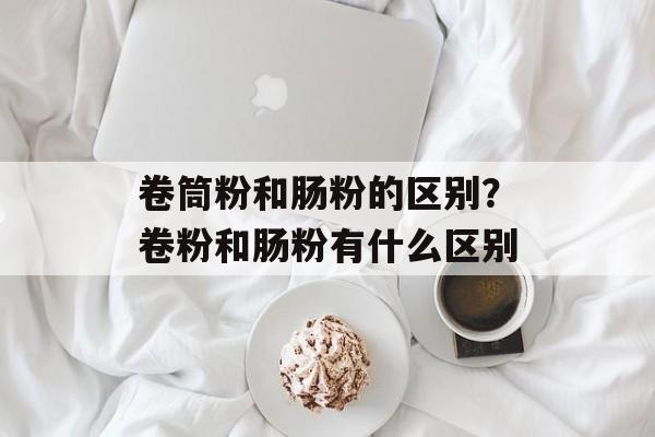 卷筒粉和肠粉的区别？卷粉和肠粉有什么区别-第1张图片-