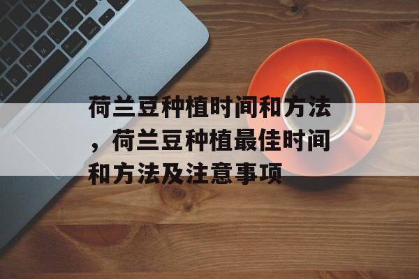 荷兰豆种植时间和方法，荷兰豆种植最佳时间和方法及注意事项-第1张图片-