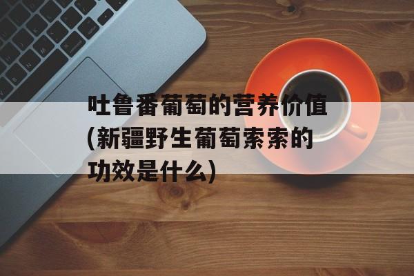吐鲁番葡萄的营养价值(新疆野生葡萄索索的功效是什么)-第1张图片-