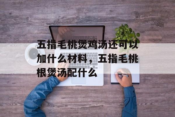 五指毛桃煲鸡汤还可以加什么材料，五指毛桃根煲汤配什么-第1张图片-