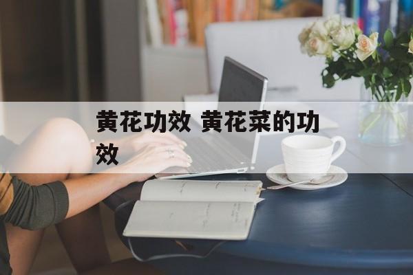 黄花功效 黄花菜的功效-第1张图片-