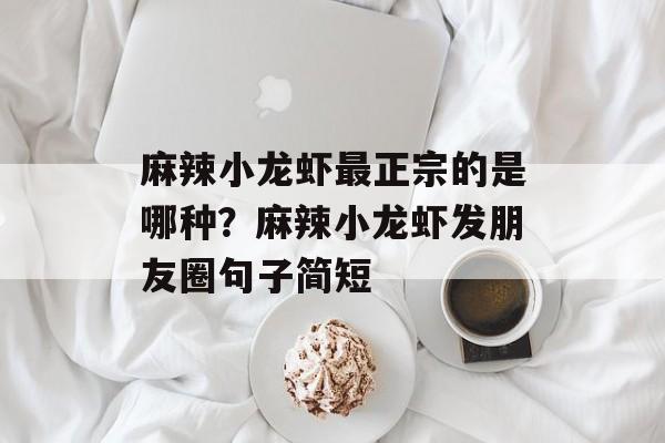 麻辣小龙虾最正宗的是哪种？麻辣小龙虾发朋友圈句子简短-第1张图片-
