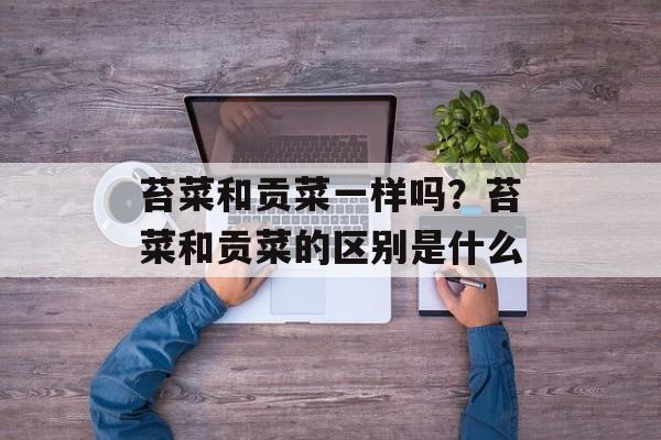 苔菜和贡菜一样吗？苔菜和贡菜的区别是什么-第1张图片-