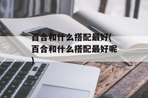 百合和什么搭配最好(百合和什么搭配最好呢)-第1张图片-