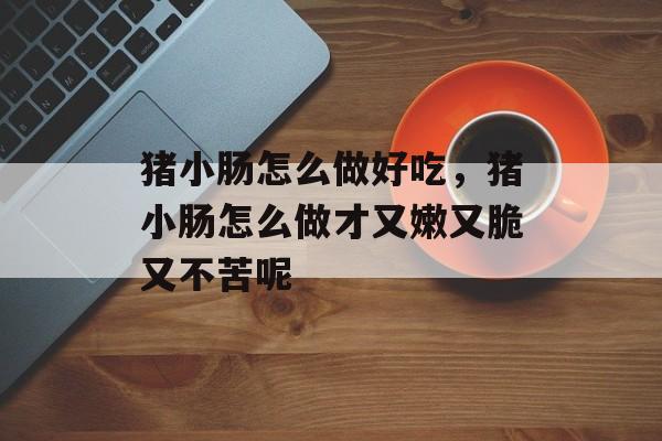 猪小肠怎么做好吃，猪小肠怎么做才又嫩又脆又不苦呢-第1张图片-