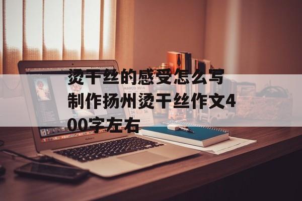 烫干丝的感受怎么写 制作扬州烫干丝作文400字左右-第1张图片-