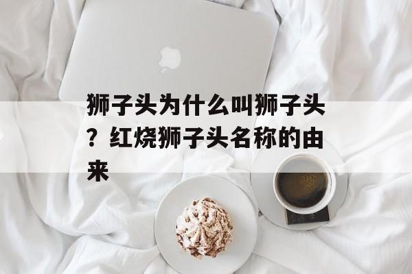 狮子头为什么叫狮子头？红烧狮子头名称的由来-第1张图片-