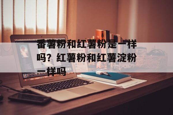 番薯粉和红薯粉是一样吗？红薯粉和红薯淀粉一样吗-第1张图片-
