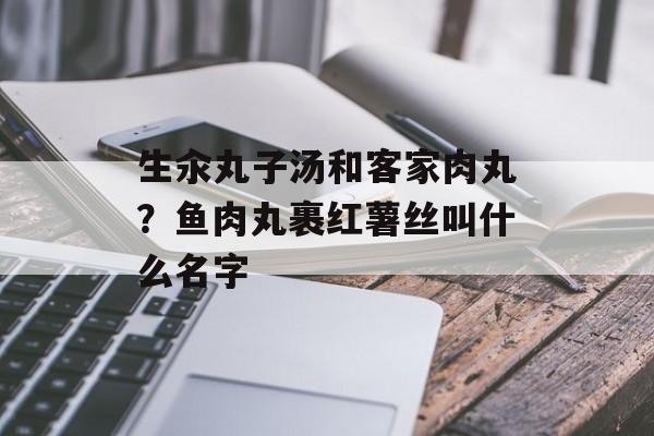 生汆丸子汤和客家肉丸？鱼肉丸裹红薯丝叫什么名字-第1张图片-