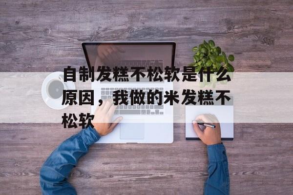 自制发糕不松软是什么原因，我做的米发糕不松软-第1张图片-