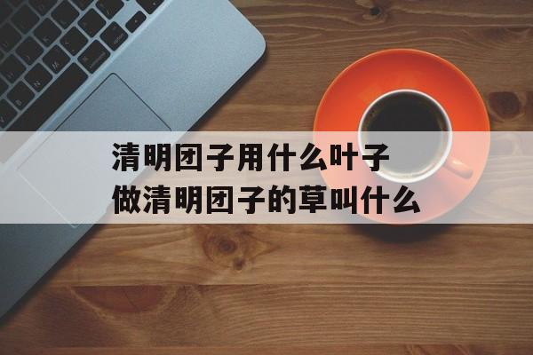 清明团子用什么叶子 做清明团子的草叫什么-第1张图片-