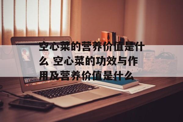 空心菜的营养价值是什么 空心菜的功效与作用及营养价值是什么-第1张图片-
