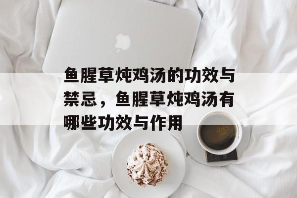 鱼腥草炖鸡汤的功效与禁忌，鱼腥草炖鸡汤有哪些功效与作用-第1张图片-