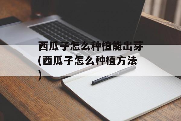 西瓜子怎么种植能出芽(西瓜子怎么种植方法)-第1张图片-