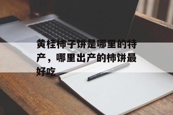 黄桂柿子饼是哪里的特产，哪里出产的柿饼最好吃-第1张图片-