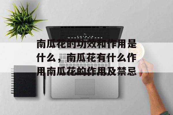 南瓜花的功效和作用是什么，南瓜花有什么作用南瓜花的作用及禁忌-第1张图片-