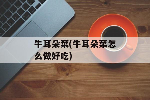 牛耳朵菜(牛耳朵菜怎么做好吃)-第1张图片-