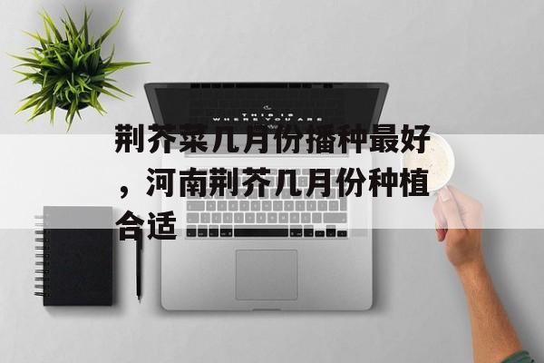 荆芥菜几月份播种最好，河南荆芥几月份种植合适-第1张图片-