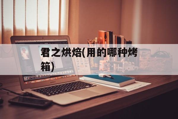 君之烘焙(用的哪种烤箱)-第1张图片-