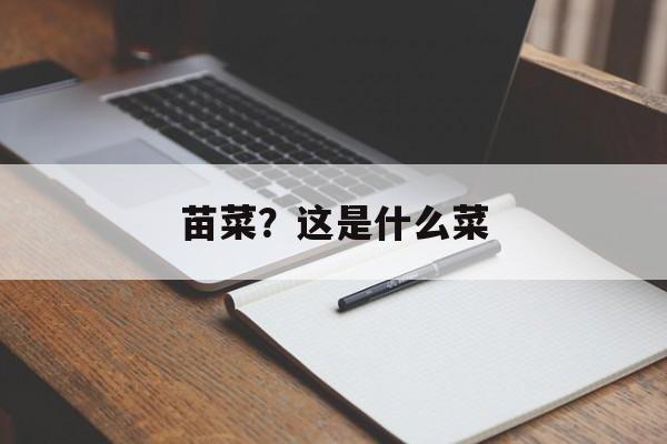 苗菜？这是什么菜-第1张图片-