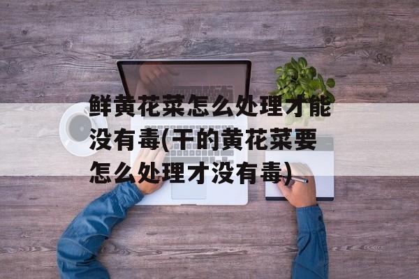 鲜黄花菜怎么处理才能没有毒(干的黄花菜要怎么处理才没有毒)-第1张图片-