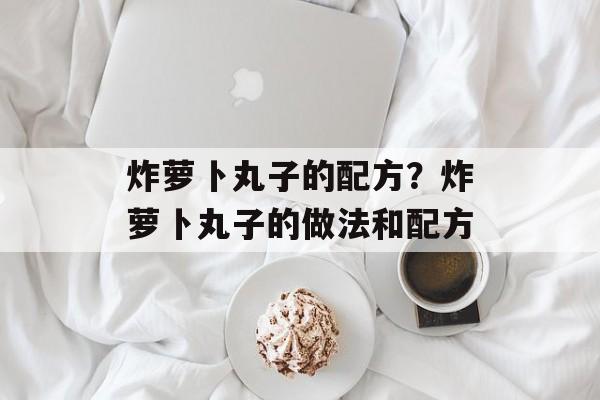 炸萝卜丸子的配方？炸萝卜丸子的做法和配方-第1张图片-
