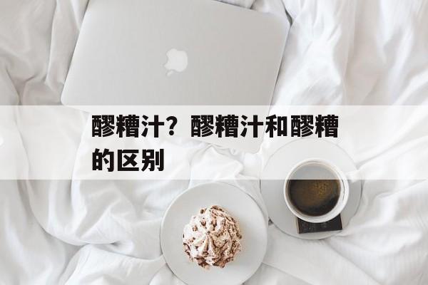 醪糟汁？醪糟汁和醪糟的区别-第1张图片-