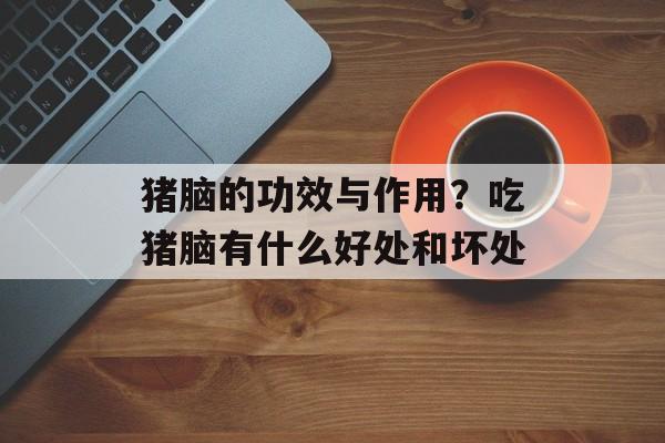 猪脑的功效与作用？吃猪脑有什么好处和坏处-第1张图片-