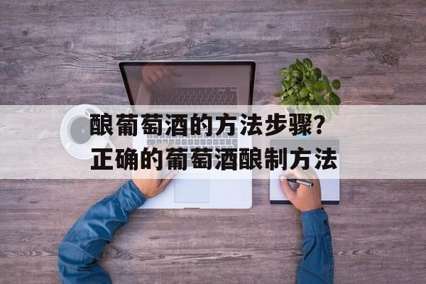 酿葡萄酒的方法步骤？正确的葡萄酒酿制方法-第1张图片-