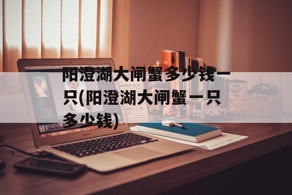 阳澄湖大闸蟹多少钱一只(阳澄湖大闸蟹一只多少钱)-第1张图片-