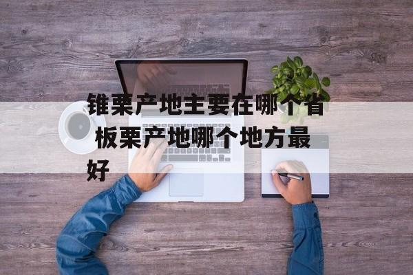 锥栗产地主要在哪个省 板栗产地哪个地方最好-第1张图片-