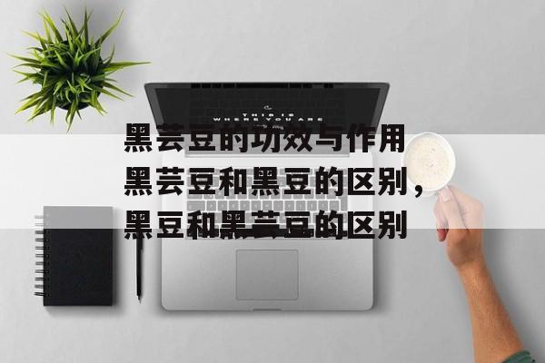 黑芸豆的功效与作用 黑芸豆和黑豆的区别，黑豆和黑芸豆的区别-第1张图片-