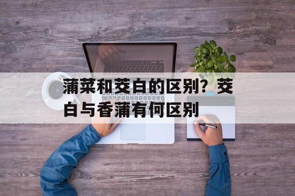 蒲菜和茭白的区别？茭白与香蒲有何区别-第1张图片-
