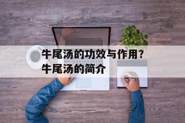 牛尾汤的功效与作用？牛尾汤的简介-第1张图片-
