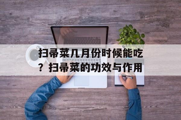 扫帚菜几月份时候能吃？扫帚菜的功效与作用-第1张图片-