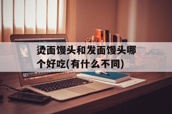 烫面馒头和发面馒头哪个好吃(有什么不同)-第1张图片-
