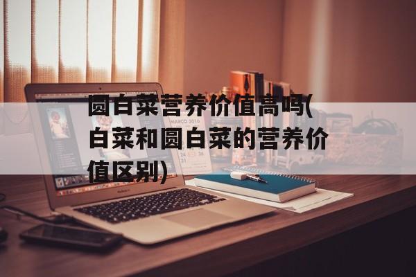 圆白菜营养价值高吗(白菜和圆白菜的营养价值区别)-第1张图片-