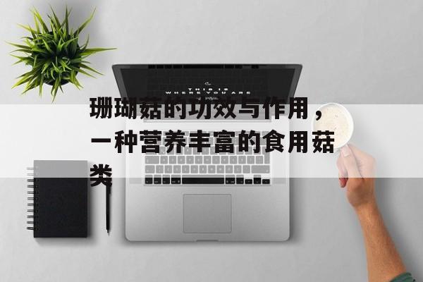 珊瑚菇的功效与作用，一种营养丰富的食用菇类-第1张图片-