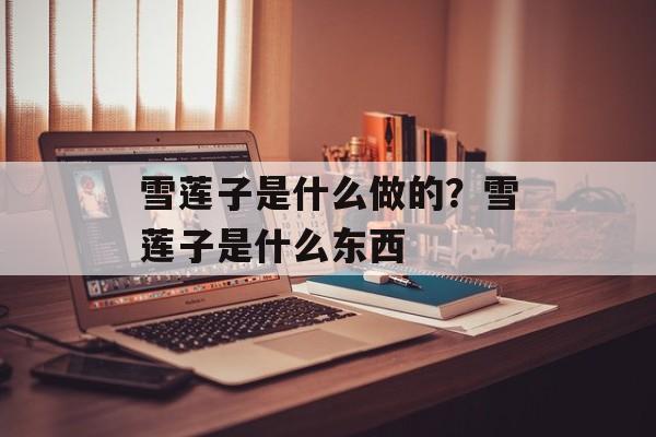 雪莲子是什么做的？雪莲子是什么东西-第1张图片-