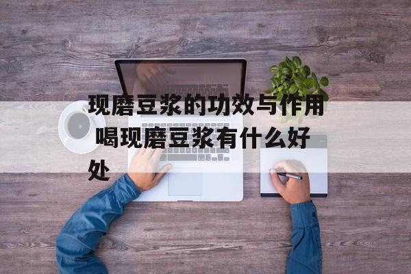 现磨豆浆的功效与作用 喝现磨豆浆有什么好处-第1张图片-