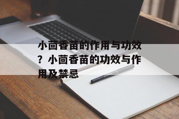 小茴香苗的作用与功效？小茴香苗的功效与作用及禁忌-第1张图片-