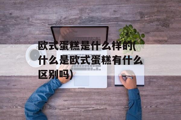 欧式蛋糕是什么样的(什么是欧式蛋糕有什么区别吗)-第1张图片-