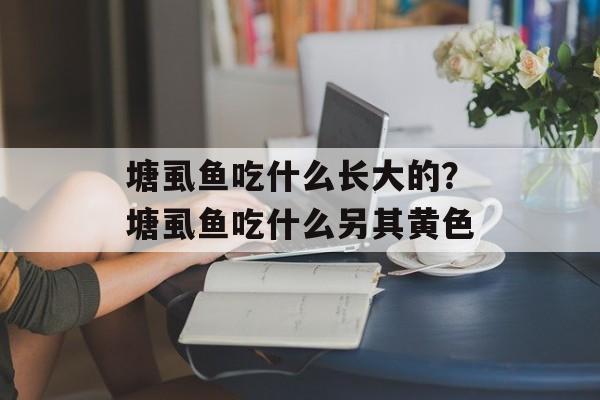 塘虱鱼吃什么长大的？塘虱鱼吃什么另其黄色-第1张图片-