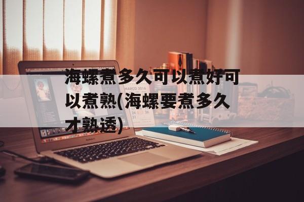 海螺煮多久可以煮好可以煮熟(海螺要煮多久才熟透)-第1张图片-