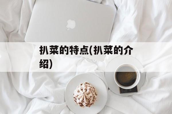 扒菜的特点(扒菜的介绍)-第1张图片-