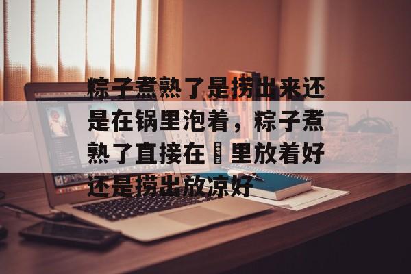 粽子煮熟了是捞出来还是在锅里泡着，粽子煮熟了直接在鍋里放着好还是捞出放凉好-第1张图片-