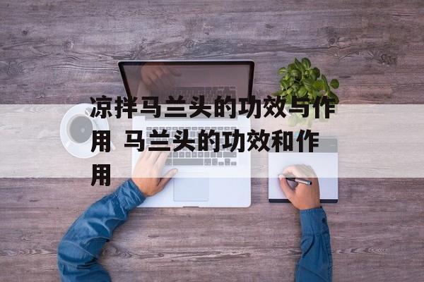凉拌马兰头的功效与作用 马兰头的功效和作用-第1张图片-