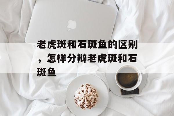 老虎斑和石斑鱼的区别，怎样分辩老虎斑和石斑鱼-第1张图片-